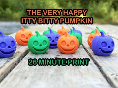 Very Happy Itty Bitty Pumpkin