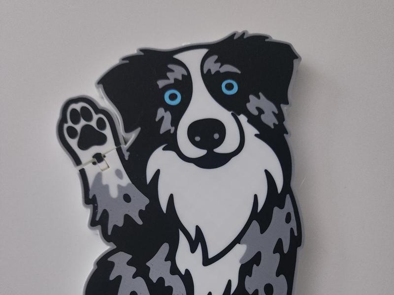 Aussie Flexi Blue Eyes