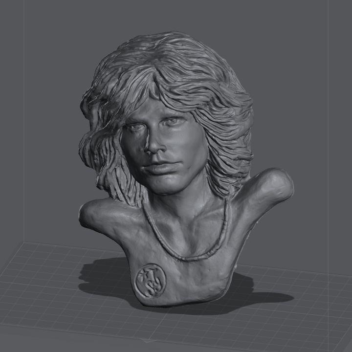 Jim Morrison sculpted head. Wall mountable.