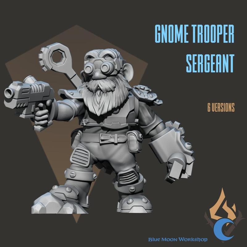 Gnome Troop Sergeant
