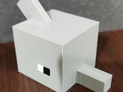 Minecraft dolphin