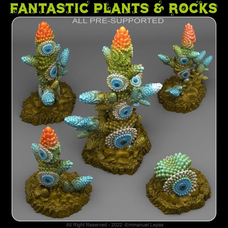 COLORED SHIELD CACTUS