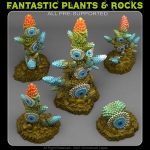 COLORED SHIELD CACTUS