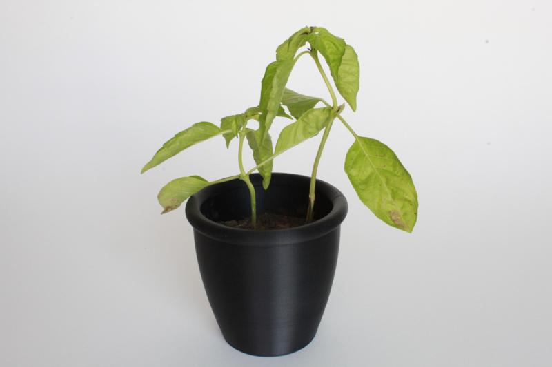 Plant Pot/Planter With Drain Holes