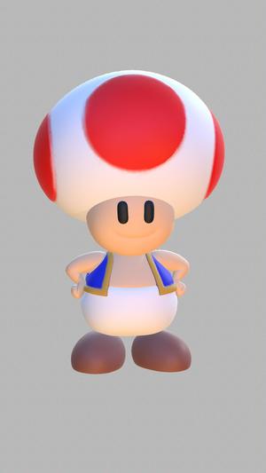 Toad Mario Bros