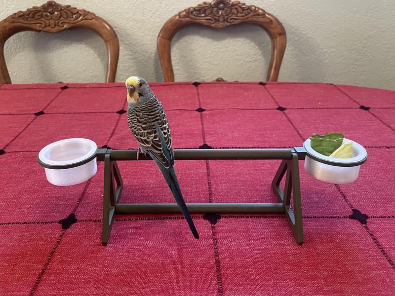 Parakeet Table Perch