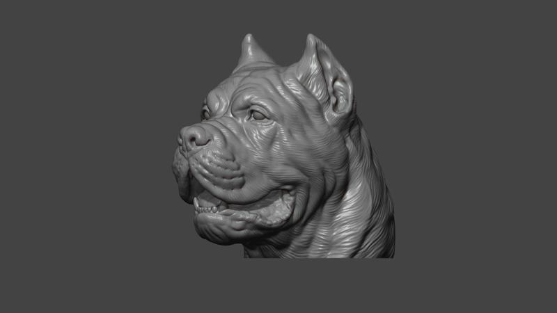 Canne Corso bust version 2