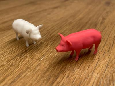 Small Pig