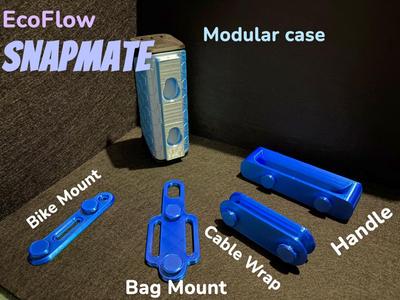 EcoFlow "SnapMate" Modular case