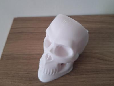 skull phone holder