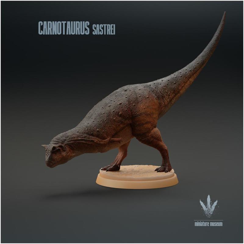 Carnotaurus sastrei : Display