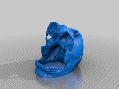 skull dice tower remix. 