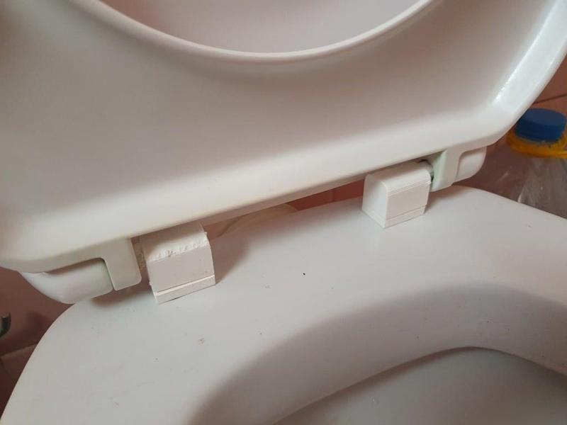 Toilet Seat hinges