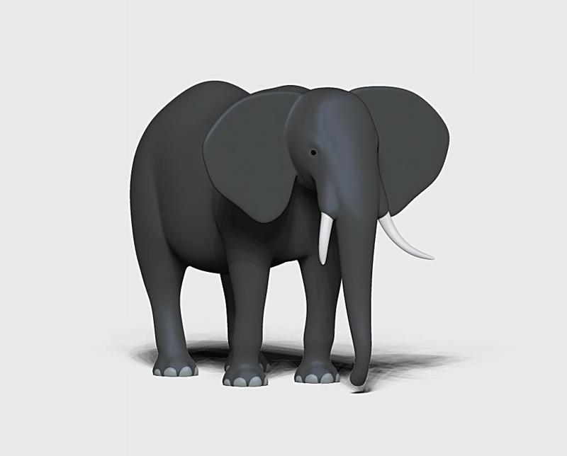 elephant