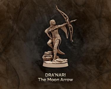 Dra nari, the Moon Arrow - Arcane Archer