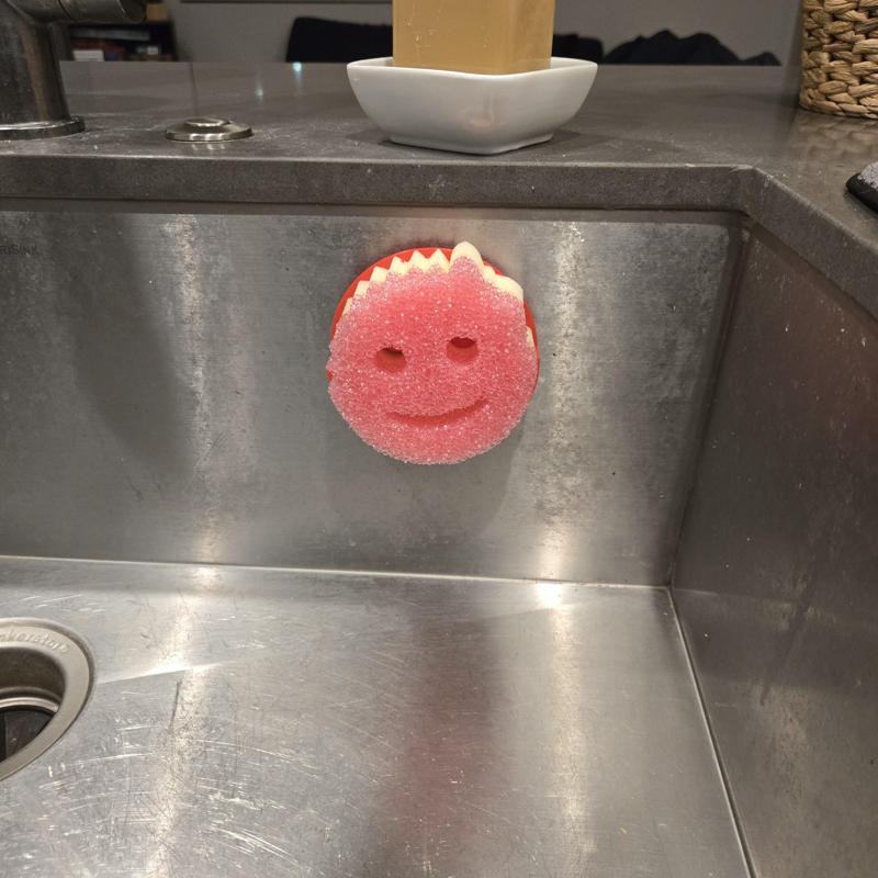 Scrub Daddy & Mommy Caddy