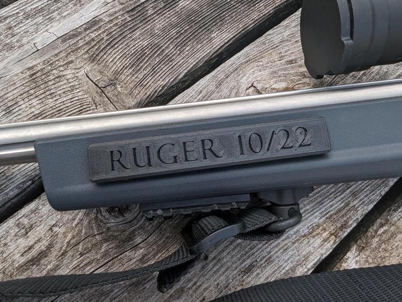 Ruger Hunter X-22 cover