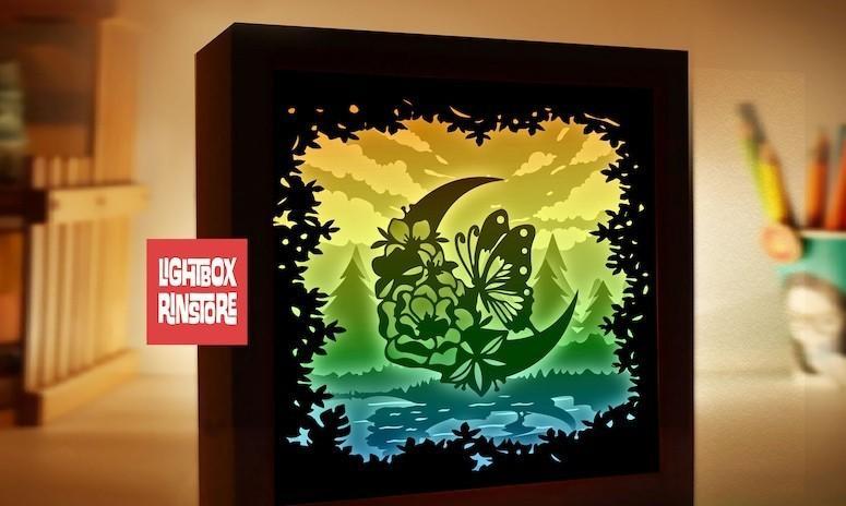 Butterfly Fairy light box 