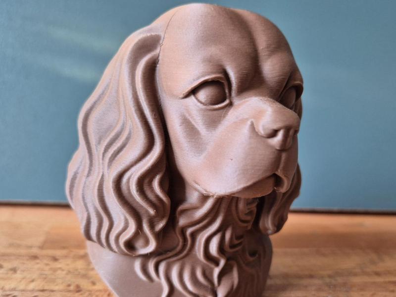 Cavalier King Charles Spaniel Bust
