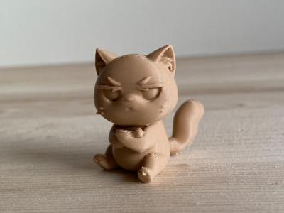 Angry cat