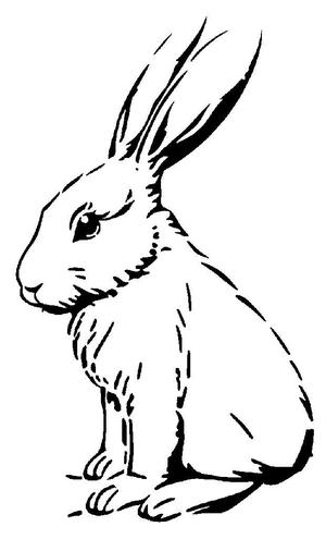 Rabbit Stencil 8