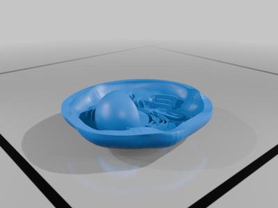 Simplified Eukaryotic Cell 3D Model