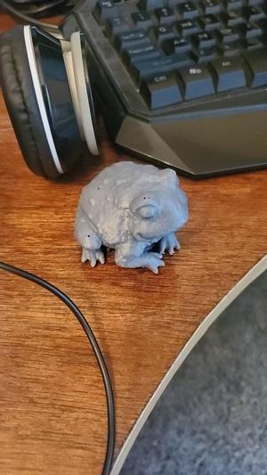 Toad Frog 3d scan (Eugene)