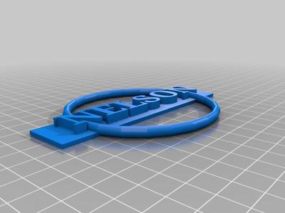Nissan Emblem Custom (NELSON)