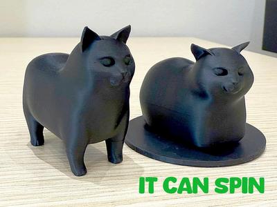 The U II A Cat meme