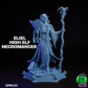 Eliel High Elf Necromancer