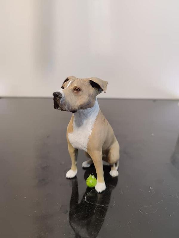 Stafford Terrier dog