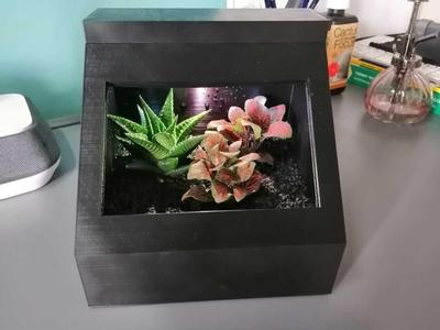 Plant terrarium