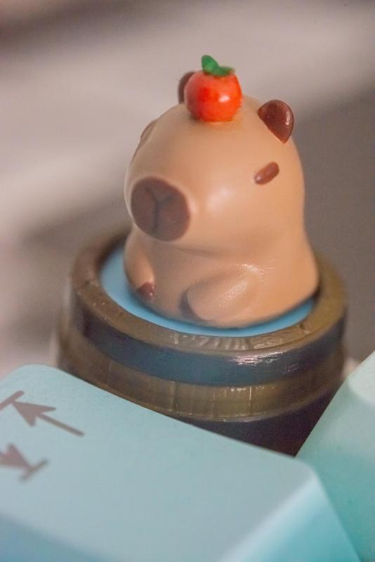Keycap Capybara Onsen