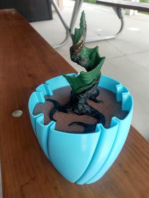 Potting Soil