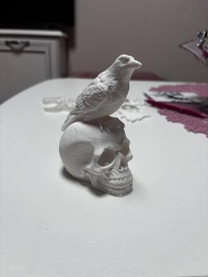 Skull with crow sitting on the head halloween decoration