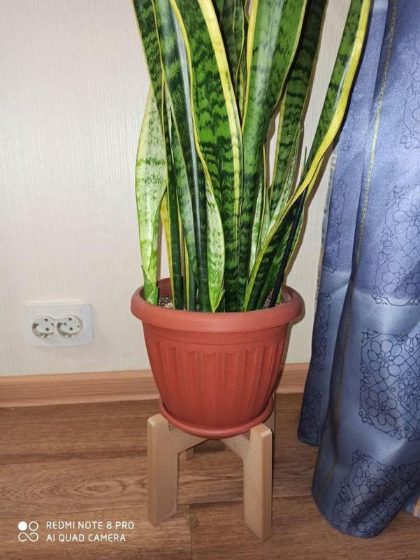 nuskerdad plant pot holder