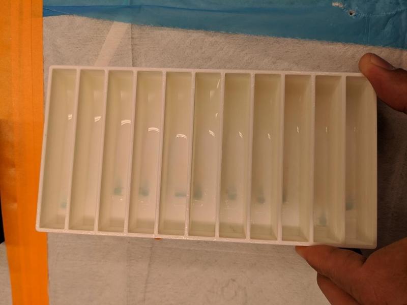 Western Blotting Box (11 divisions)