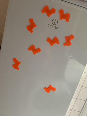 Maltipoo Magnets