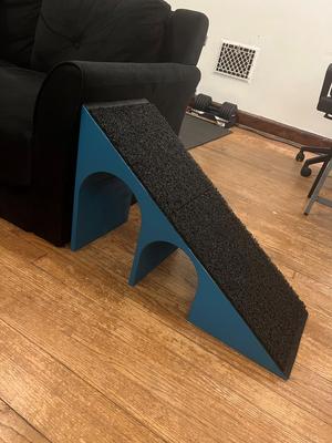 Dog ramp with archway tunnel