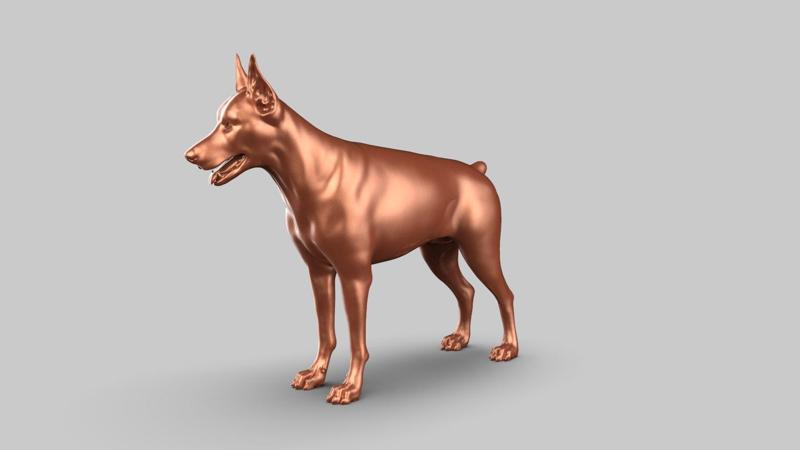 Doberman Pose 01
