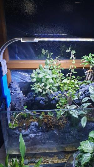 Aquarium Lights Extension Clip
