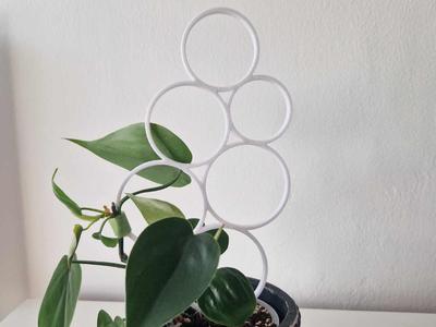 Bubbles Plant Trellis