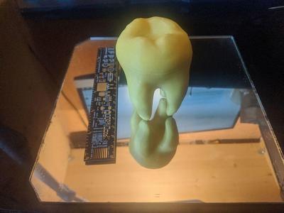 baby tooth box