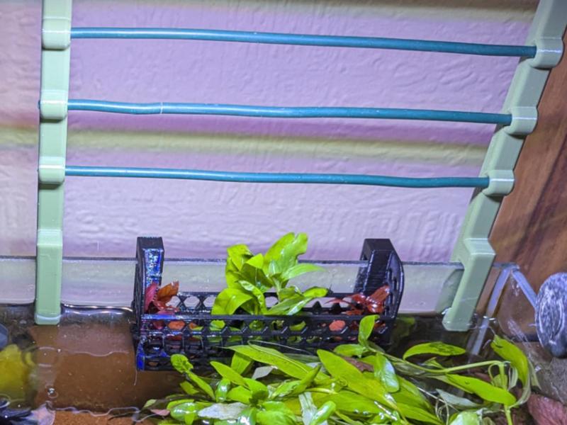 Aquarium plant holder 