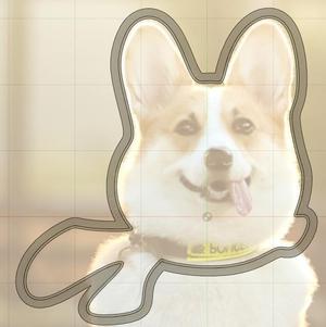 Corgi head with scarf
