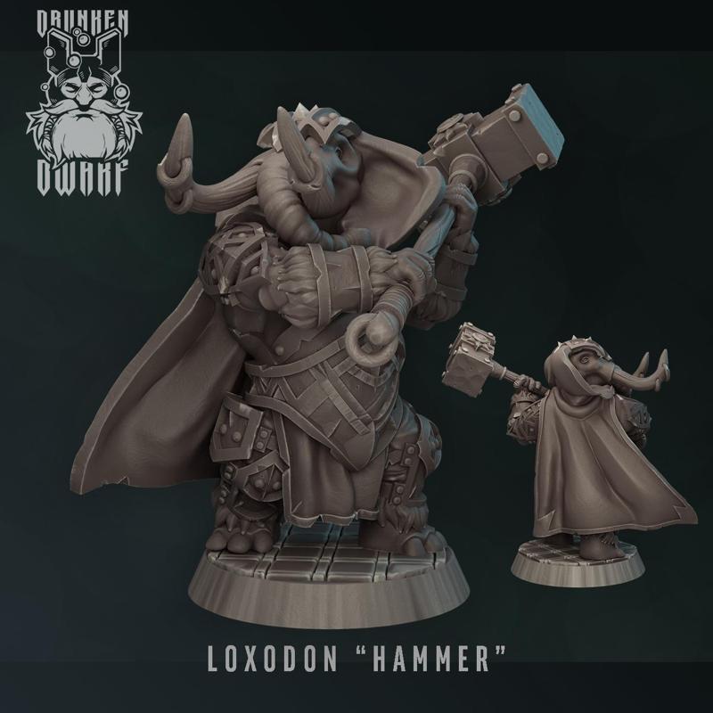Loxodon  hammer 