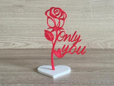 Valentine rose 