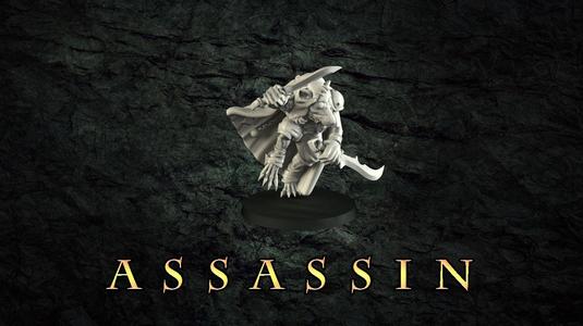 Rat Assassin