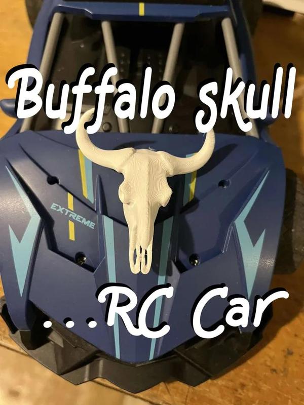 Buffalo skull on the hood of an RC car   