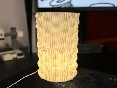 Elegant Wave Modern Lamp